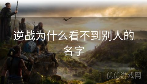 逆战为什么看不到别人的名字