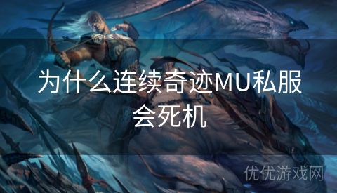 为什么连续奇迹MU私服会死机