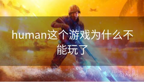 human这个游戏为什么不能玩了