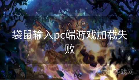 袋鼠输入pc端游戏加载失败