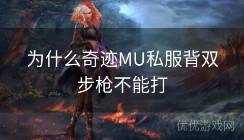 为什么奇迹MU私服背双步枪不能打