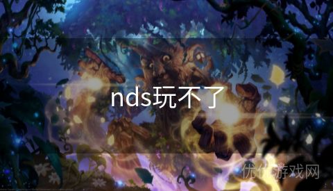 nds玩不了