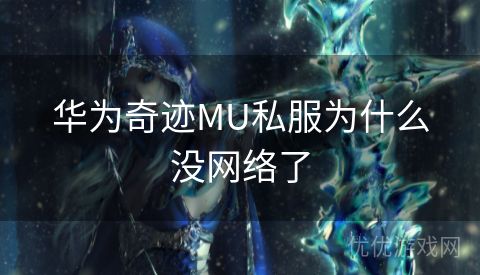 华为奇迹MU私服为什么没网络了