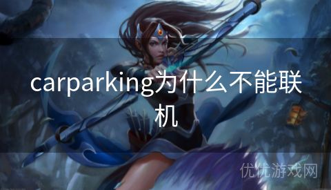 carparking为什么不能联机