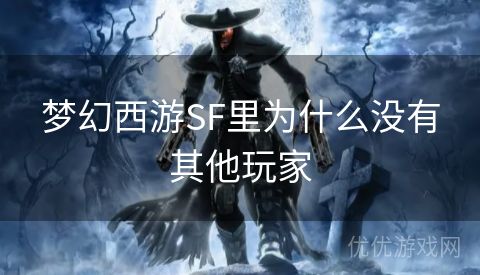 梦幻西游SF里为什么没有其他玩家