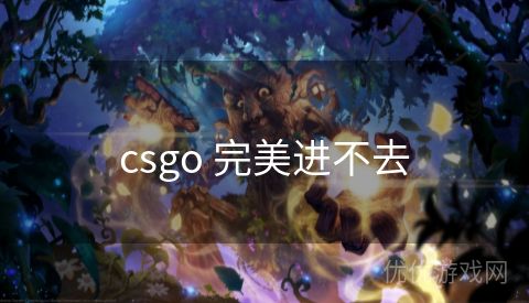 csgo 完美进不去