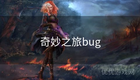 奇妙之旅bug