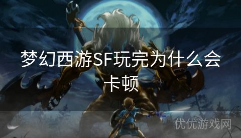 梦幻西游SF玩完为什么会卡顿