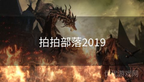 拍拍部落2019