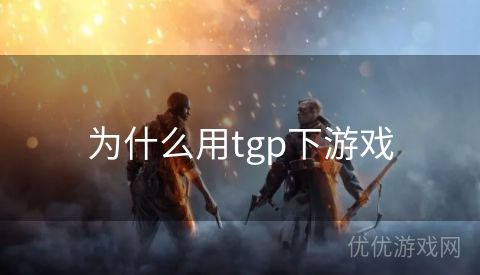 为什么用tgp下游戏