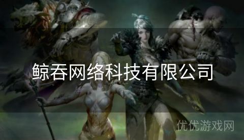 鲸吞网络科技有限公司