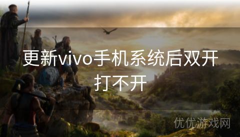 更新vivo手机系统后双开打不开