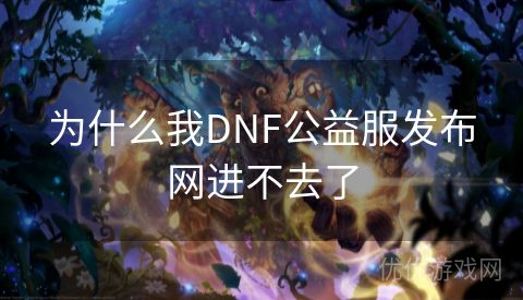 为什么我DNF公益服发布网进不去了