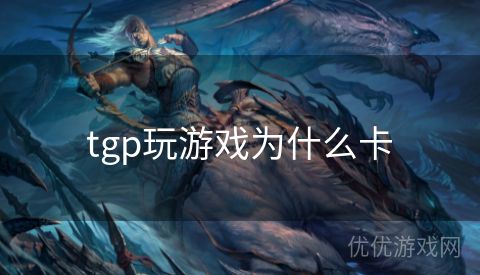 tgp玩游戏为什么卡