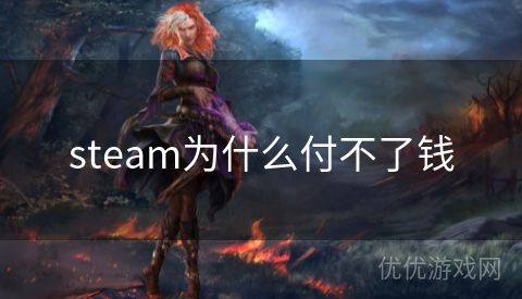 steam为什么付不了钱