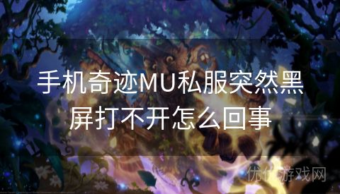 手机奇迹MU私服突然黑屏打不开怎么回事