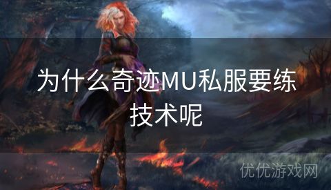 为什么奇迹MU私服要练技术呢