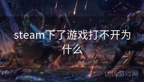 steam下了游戏打不开为什么