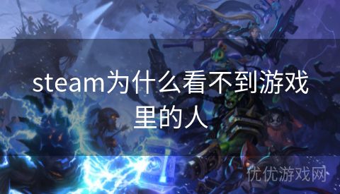 steam为什么看不到游戏里的人