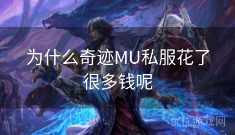 为什么奇迹MU私服花了很多钱呢