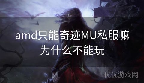 amd只能奇迹MU私服嘛为什么不能玩