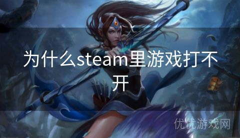 为什么steam里游戏打不开