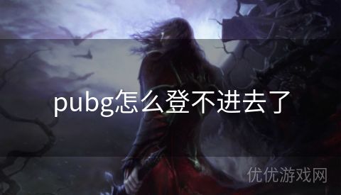 pubg怎么登不进去了