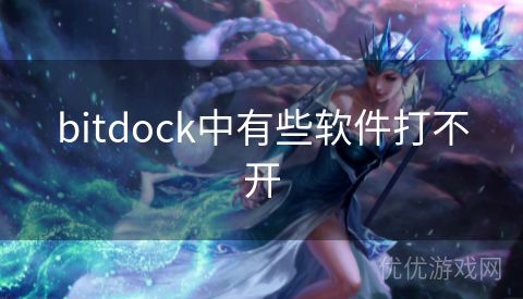 bitdock中有些软件打不开