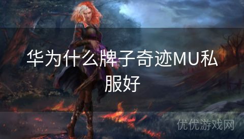 华为什么牌子奇迹MU私服好