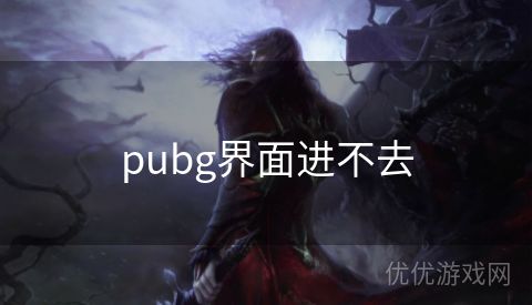 pubg界面进不去