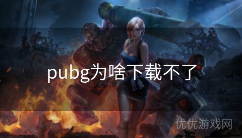 pubg为啥下载不了