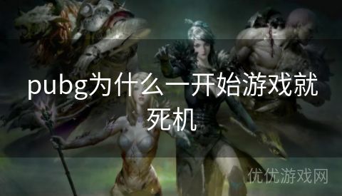 pubg为什么一开始游戏就死机