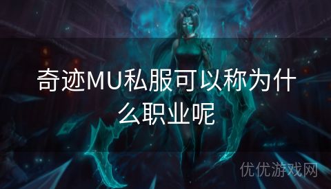 奇迹MU私服可以称为什么职业呢