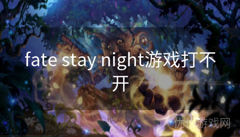 fate stay night游戏打不开