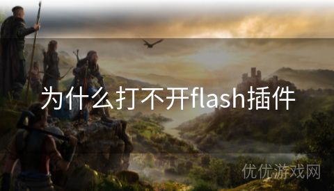 为什么打不开flash插件