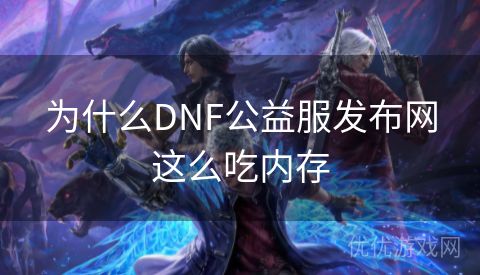 为什么DNF公益服发布网这么吃内存