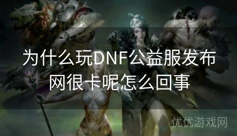 为什么玩DNF公益服发布网很卡呢怎么回事