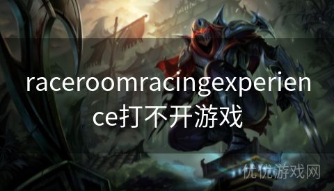 raceroomracingexperience打不开游戏