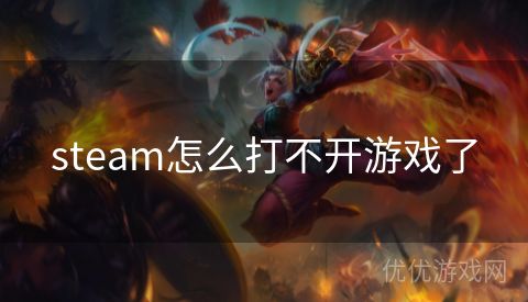 steam怎么打不开游戏了