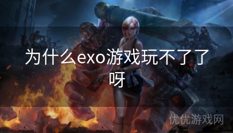 为什么exo游戏玩不了了呀