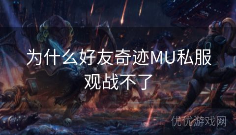 为什么好友奇迹MU私服观战不了