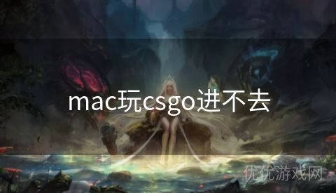 mac玩csgo进不去