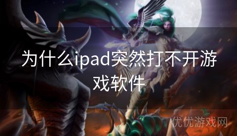 为什么ipad突然打不开游戏软件