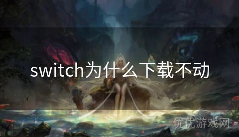 switch为什么下载不动