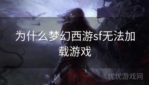 为什么梦幻西游sf无法加载游戏