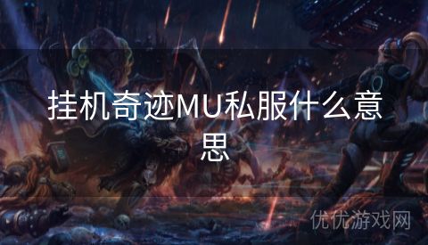 挂机奇迹MU私服什么意思