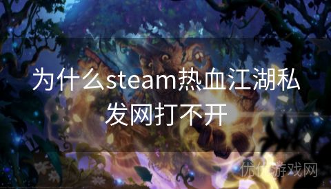 为什么steam热血江湖私发网打不开