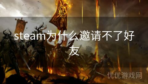 steam为什么邀请不了好友