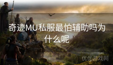 奇迹MU私服最怕辅助吗为什么呢