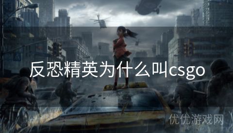 反恐精英为什么叫csgo